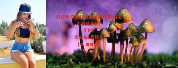 меф Нягань