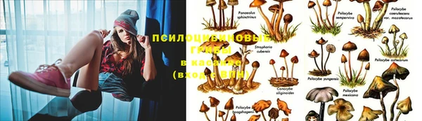 MDMA Нязепетровск