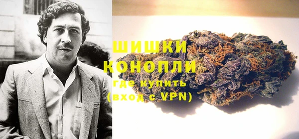 бошки Новодвинск