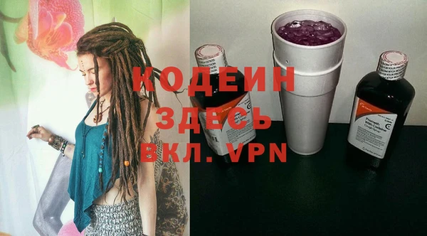 ПСИЛОЦИБИНОВЫЕ ГРИБЫ Няндома