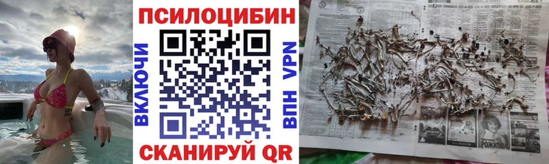 Галлюциногенные грибы прущие грибы  как найти закладки  Закаменск 